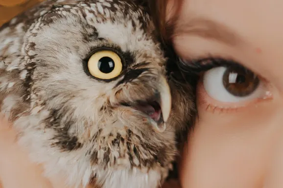 Casino B Bets Support